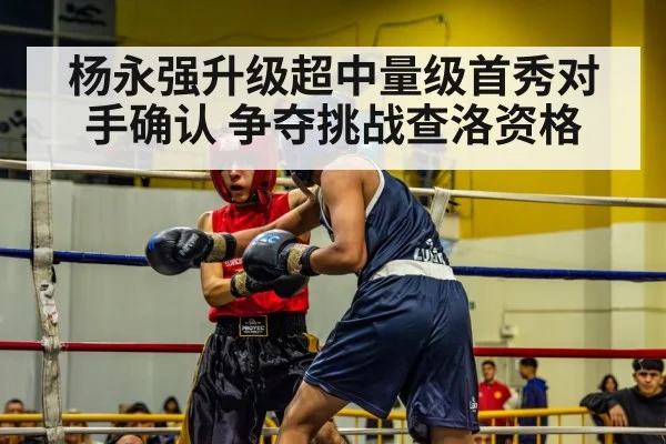 boxing match ring